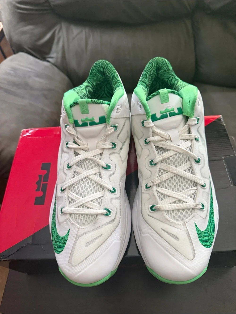 Lebron 11 Easter